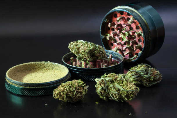 Cannabis buds with open metal grinder